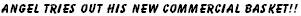 wp09cef232.png