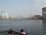 wp20bb4f67_0f.jpg
